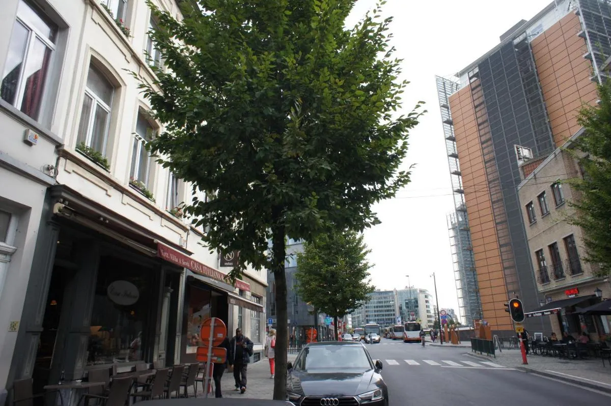 Image 1 of Apartments Berlaymont OHY