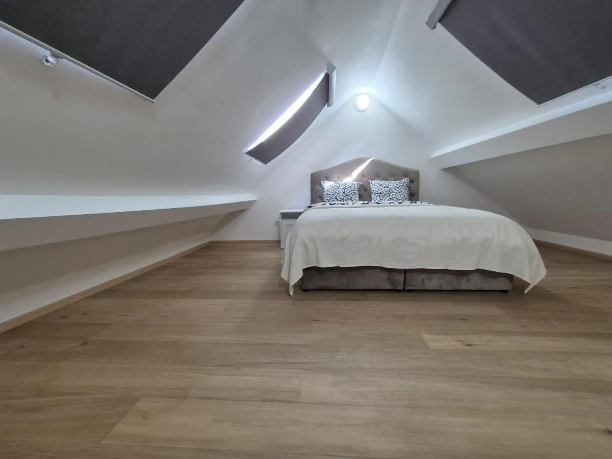 Image 2 of Cosy duplex in center of Brussels