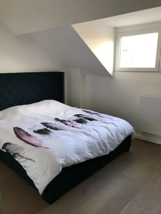 Image 4 of Duplex avec terrasse quartier européen