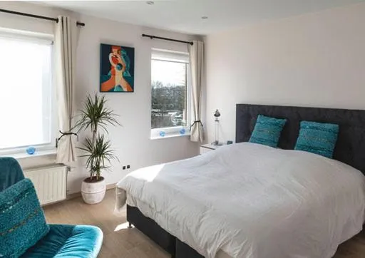 Image 1 of Modern duplex with garden