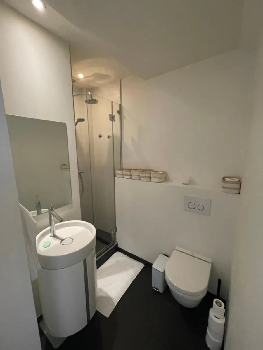 Image 4 of Apartment in trendy Chatelain center Brussels area Little Garden Internet wifi