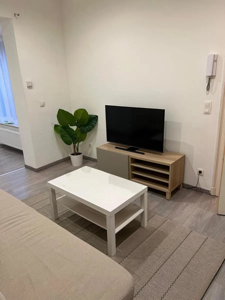 Image 5 of Appartement spacieux avec garage