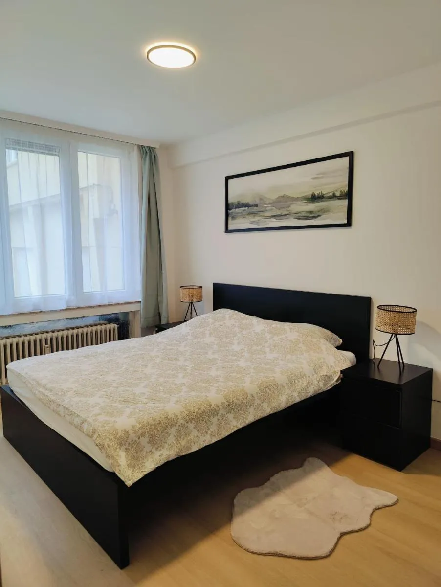 Image 5 of Bright & Cozy Appartment in Brussels