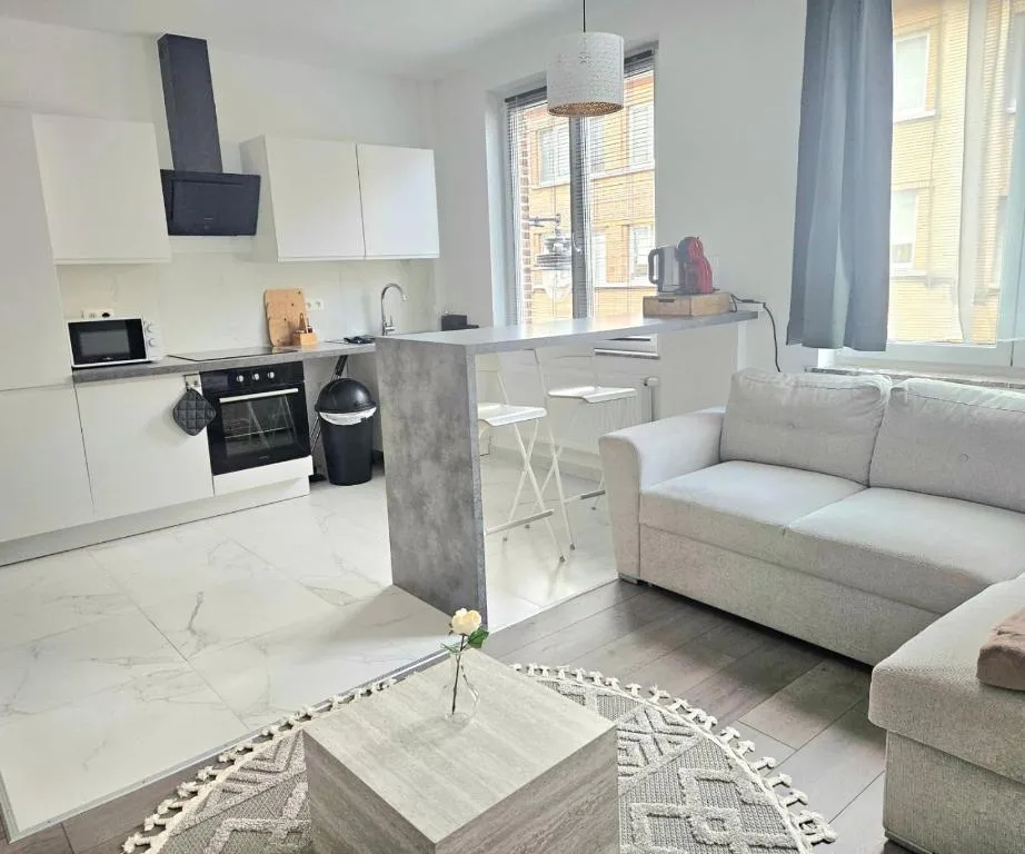 Image of Brussels apartment with terrace 1