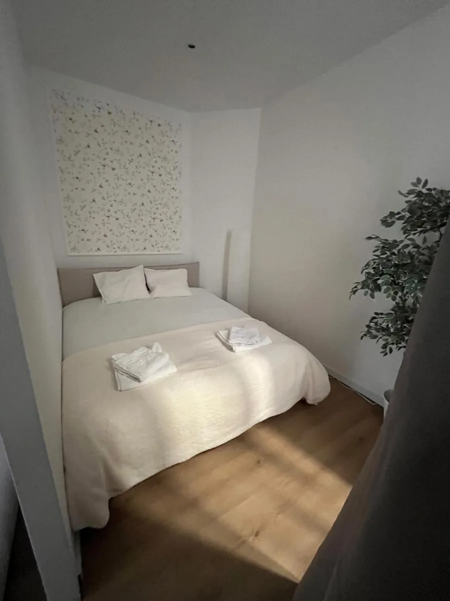 Image 4 of Charming Apartment in Saint-Gilles, Brussels, Perfect Getaway