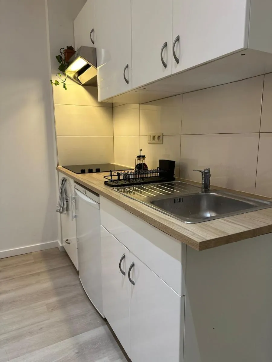Image 5 of Charming Apartment in Saint-Gilles, Brussels, Perfect Getaway