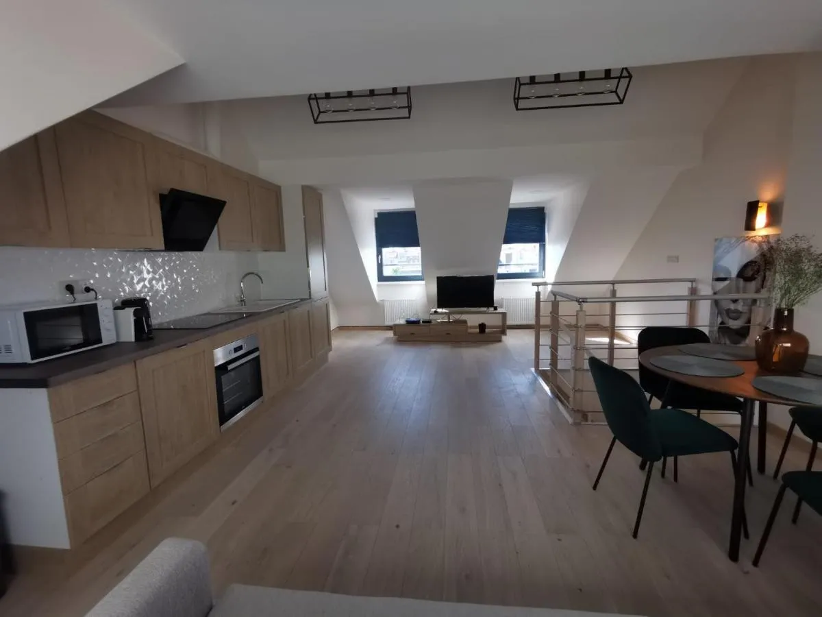 Image 3 of Charming duplex on the canal Brussels