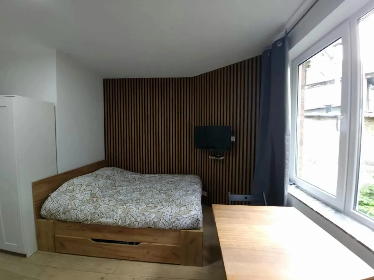 Image 2 of Cozy studio in Saint-Josse-ten-Noode – 30 m² with garden
