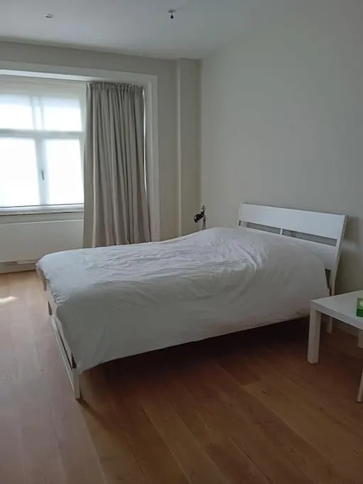 Image 3 of Spacieux Appartement 1 chambre double & jardin