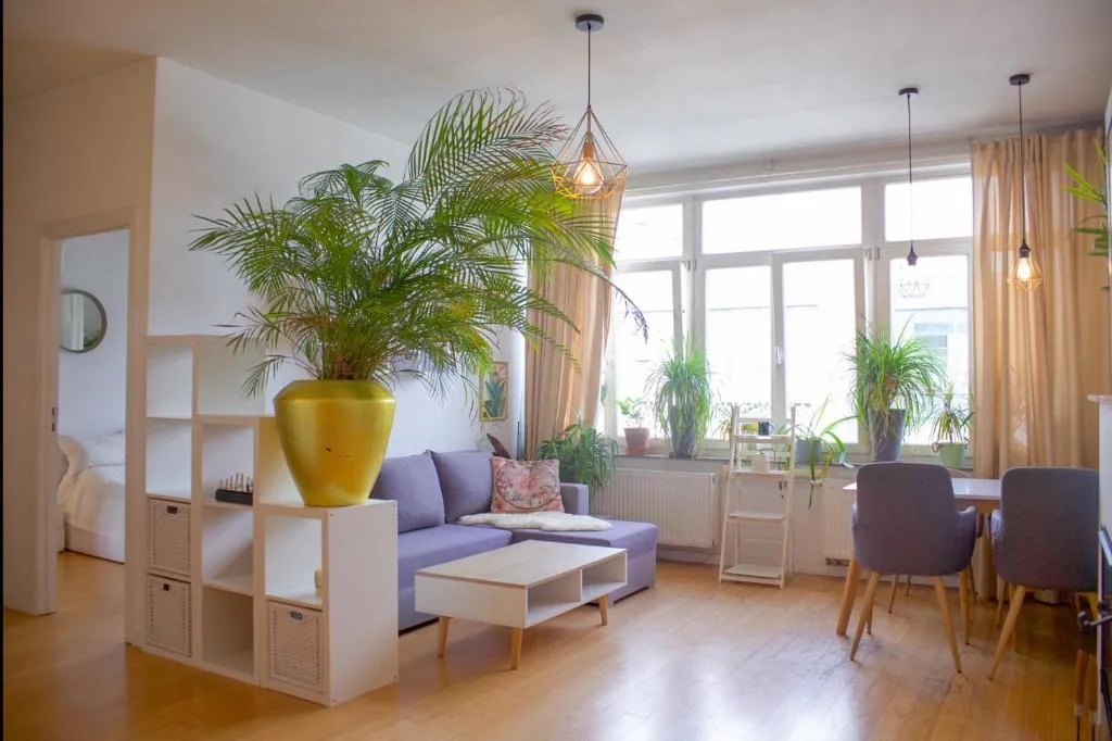 Image of The Golden Hour Loft