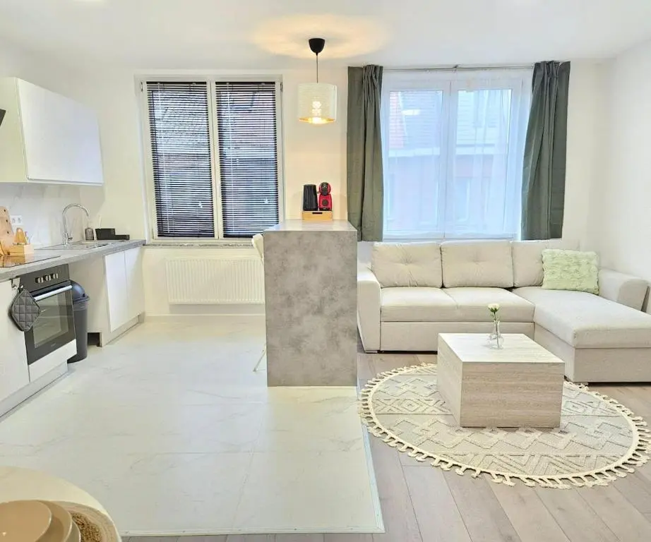 Image of Brussels apartment with terrace 2