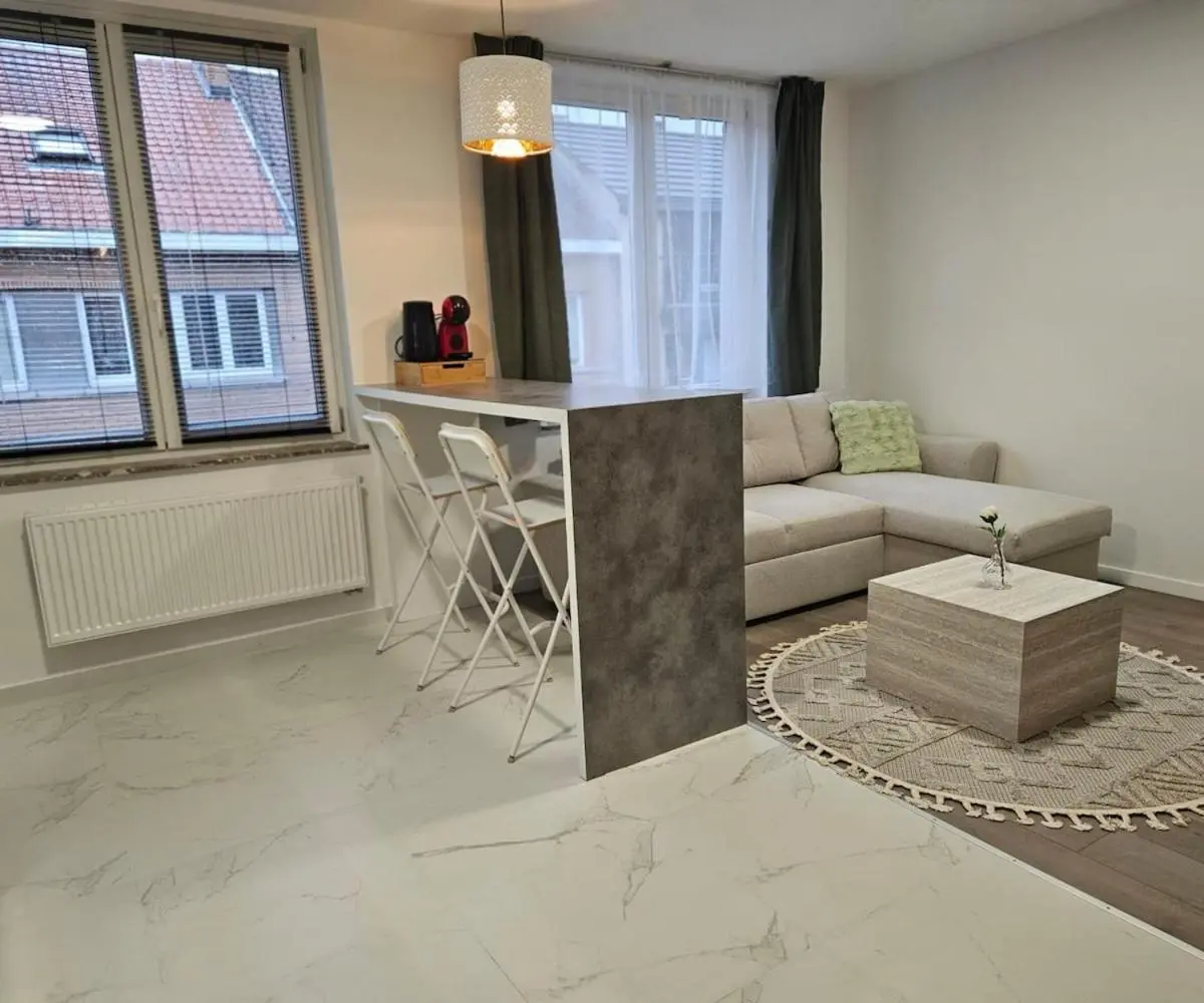Image 2 of Brussels apartment with terrace 2