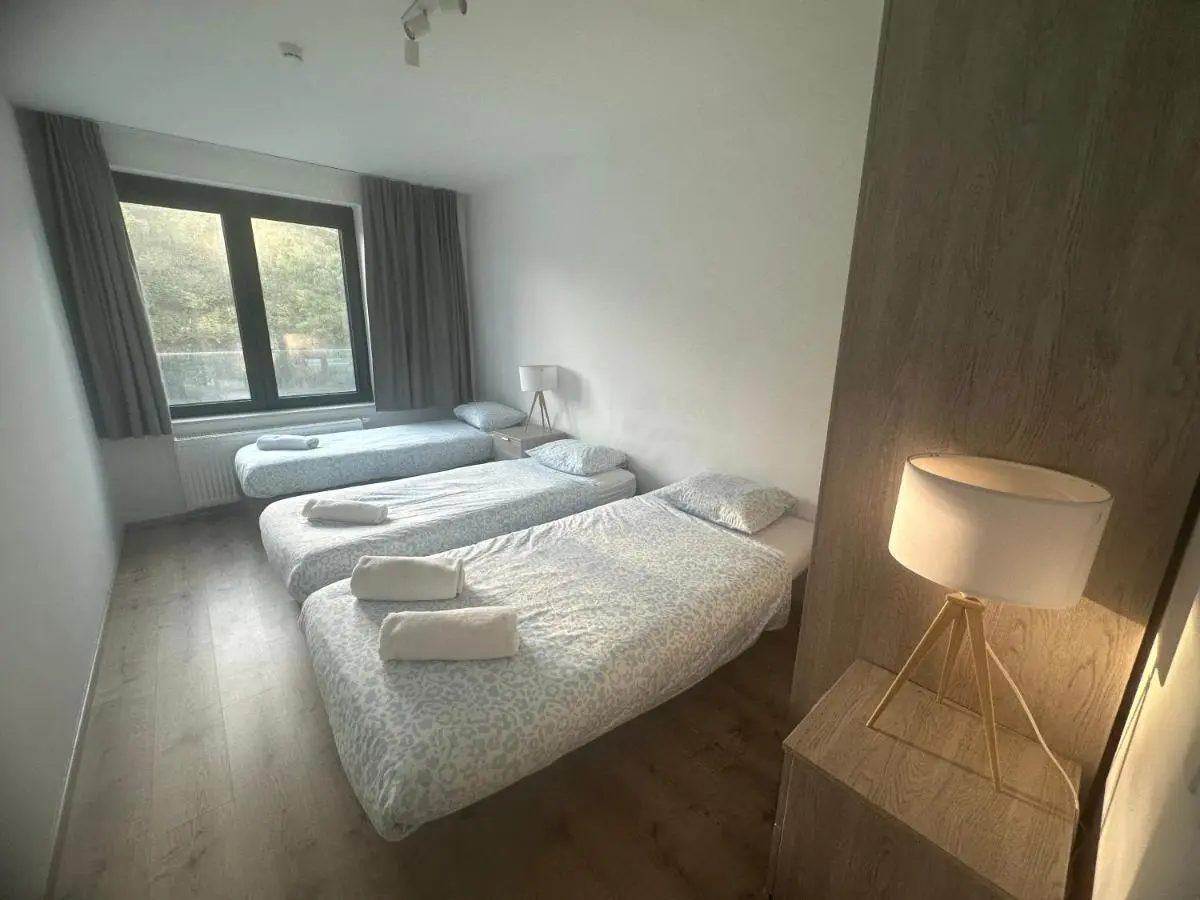 Image 4 of Charmant apartment central Brussels