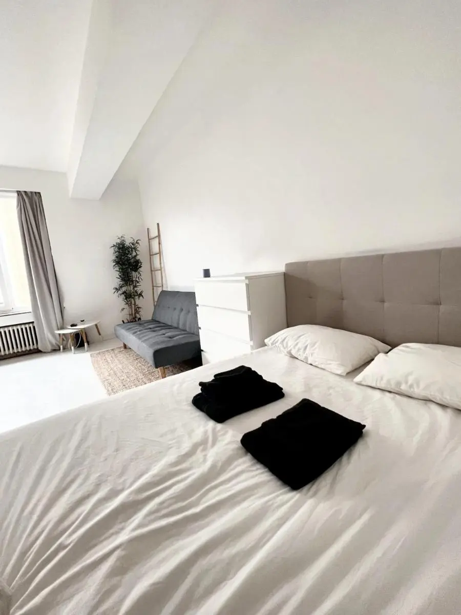 Image 2 of Comfortable Studio in Brussels – 35m² – Terrace with BBQ