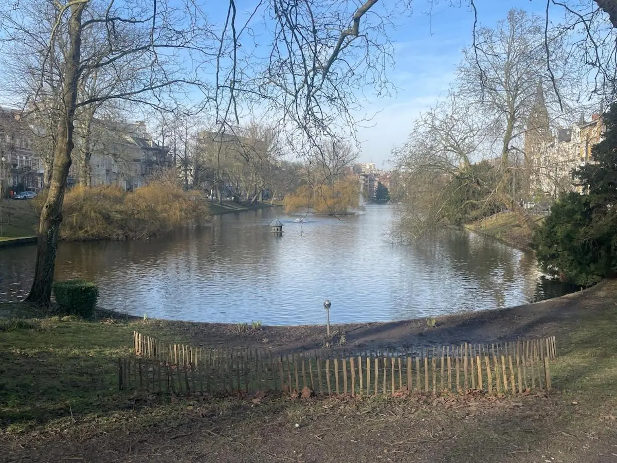 Image 2 of Le Flagey green place