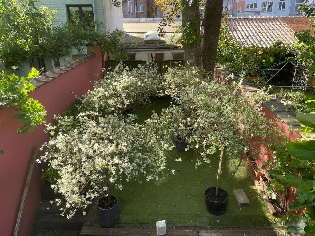 Image of Le Flagey green place