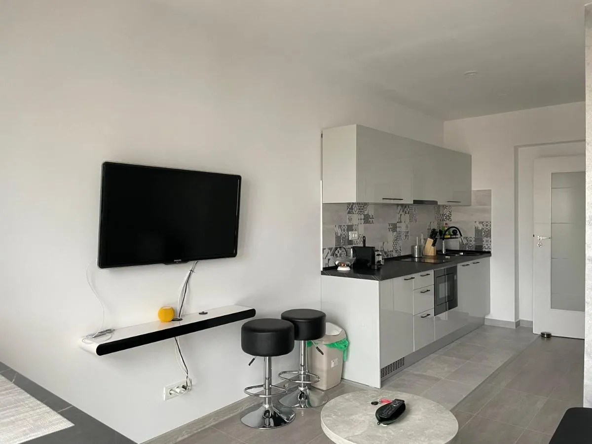 Beautiful Penthouse Lakeview W18 — 4