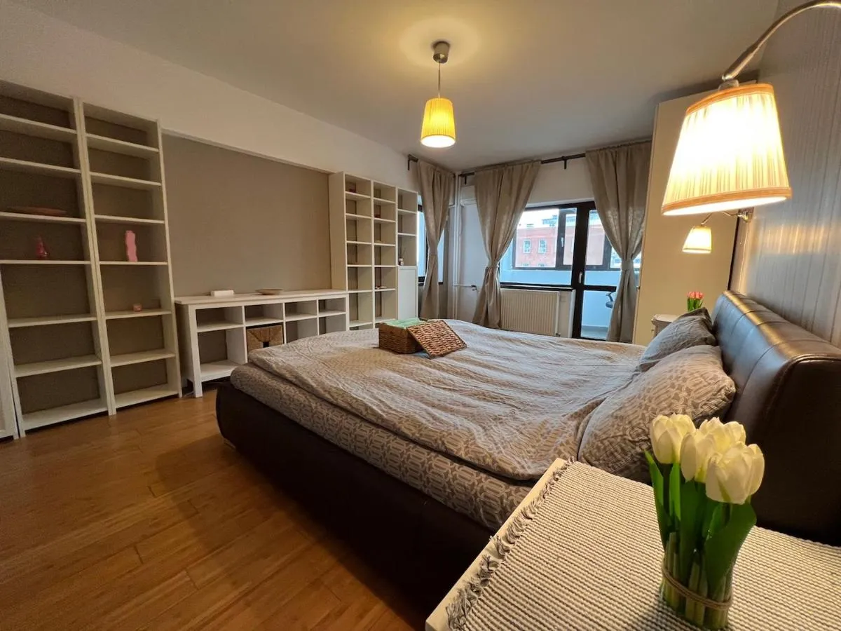 Downtown Unirii Central Apartament — 2