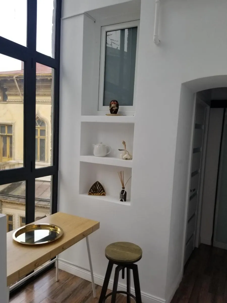 Lascăr Catargiu Vila — 3