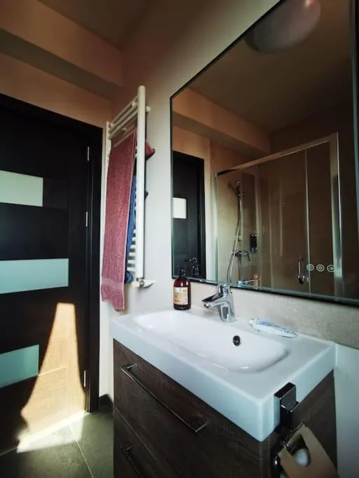 Spacious luxury apartment with large terrace — 4
