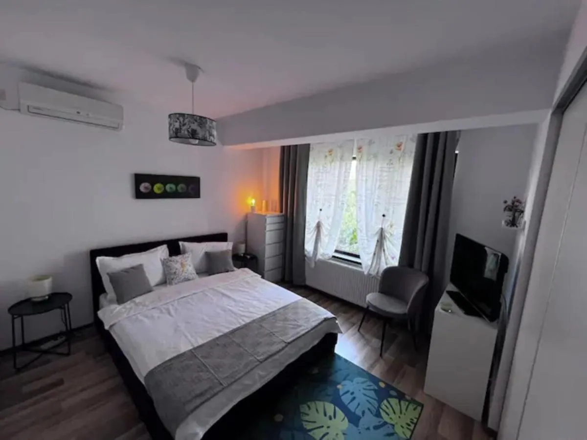 Vila luminoasa cu curte privată — 3