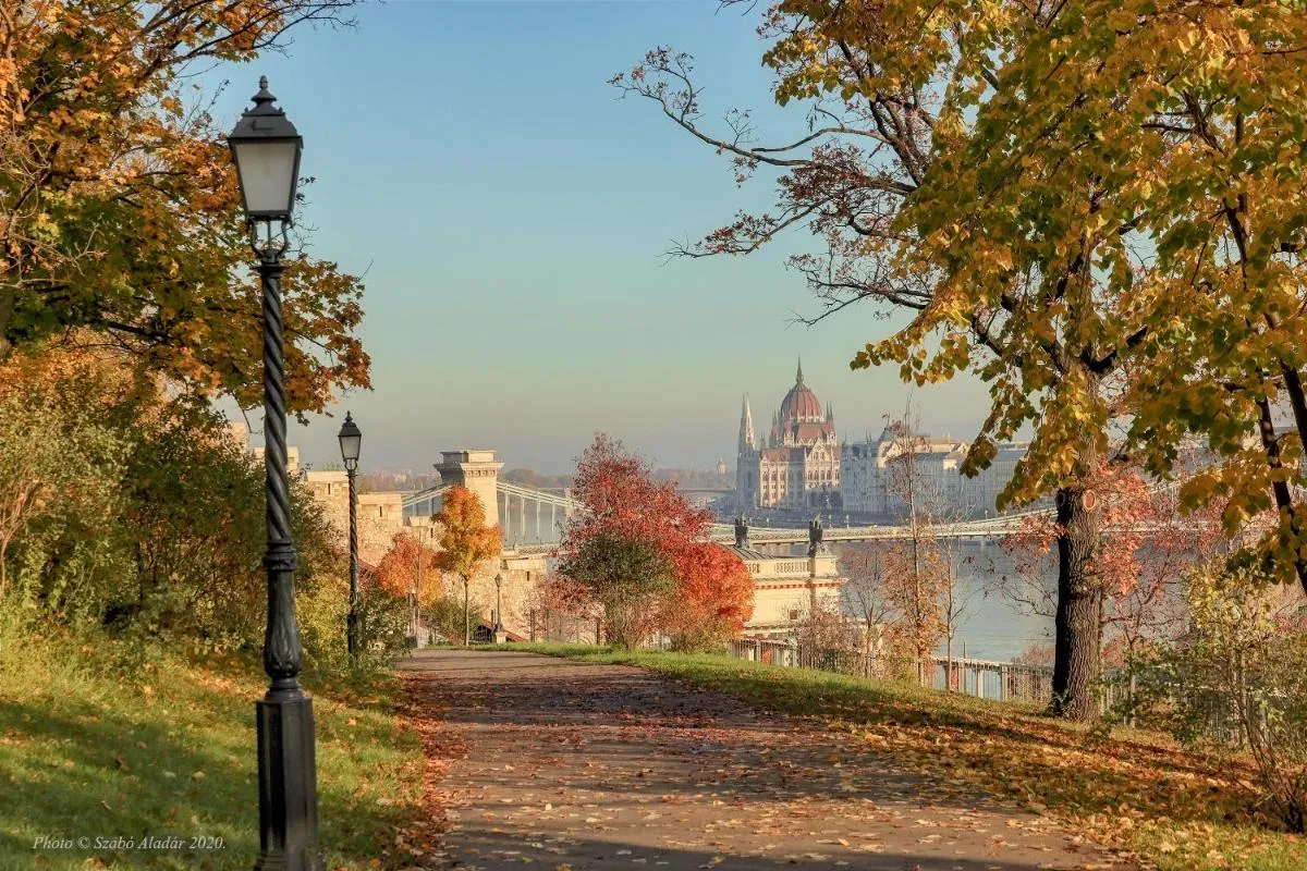 Image 5 of ABT Apartments