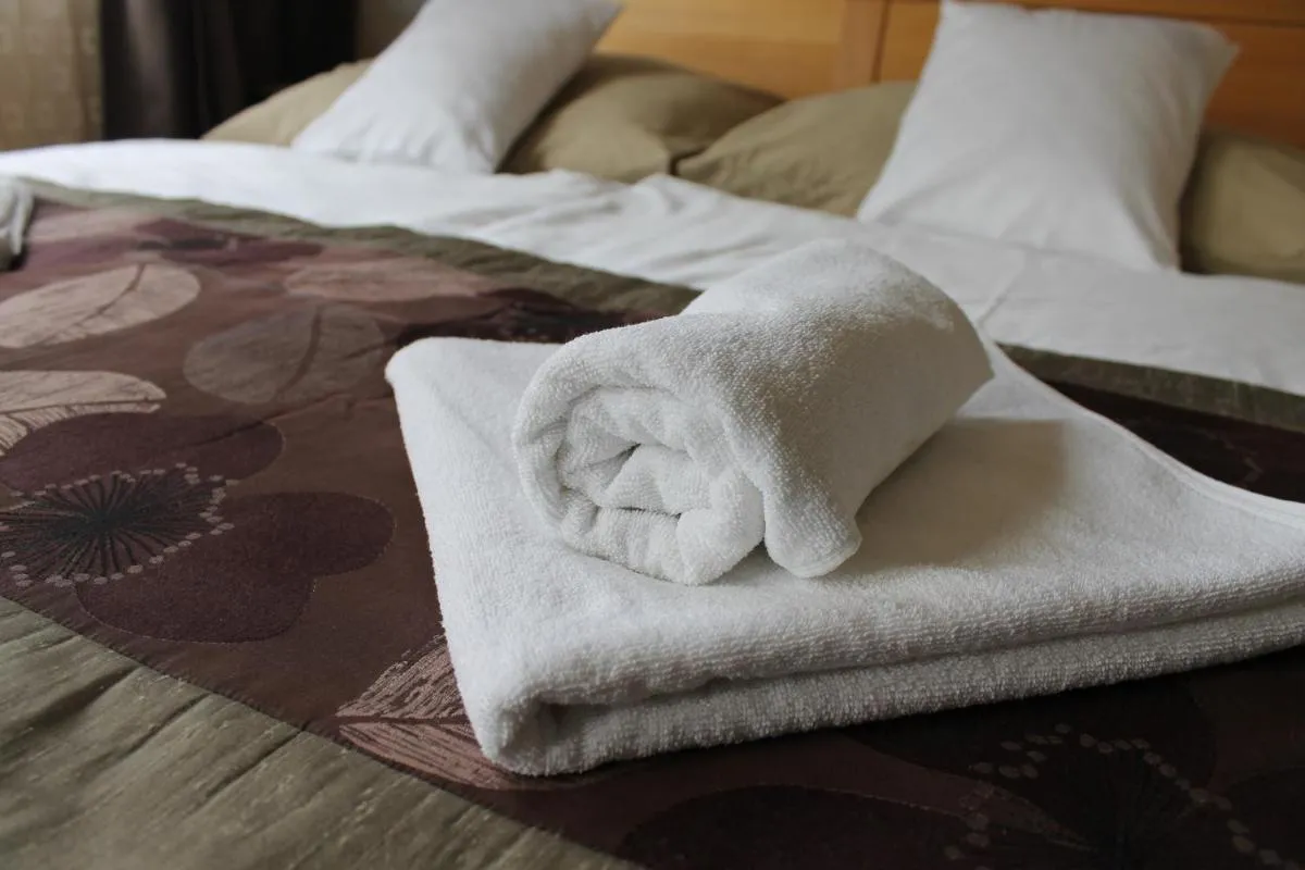 Image 6 of Apartment on Gellért Hill Downtown with free garage & Castle View