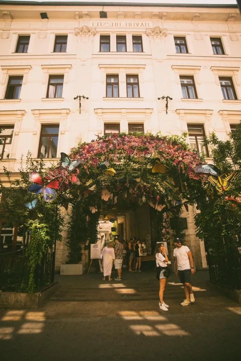 Image 5 of Little Treasure in Paulay