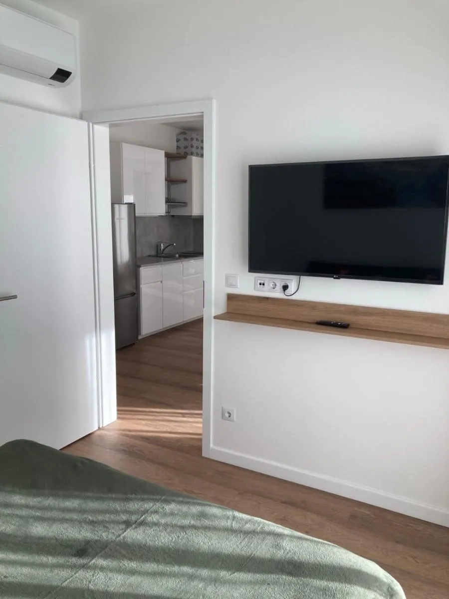 Image 5 of Roof Garden Corvin Apartment