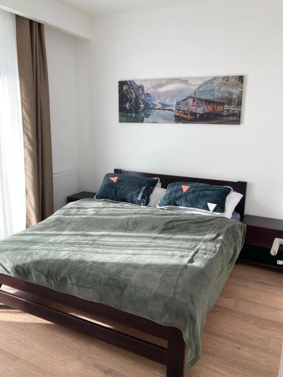 Image 3 of Roof Garden Corvin Apartment