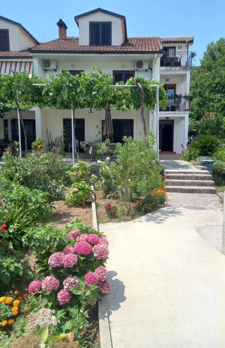 Image 3 of Apartments Budva Center