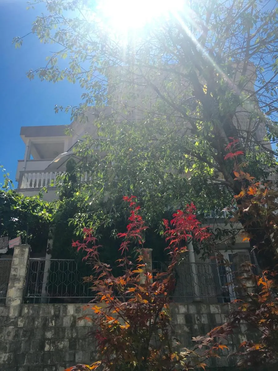 Image 3 of Apartments Popović