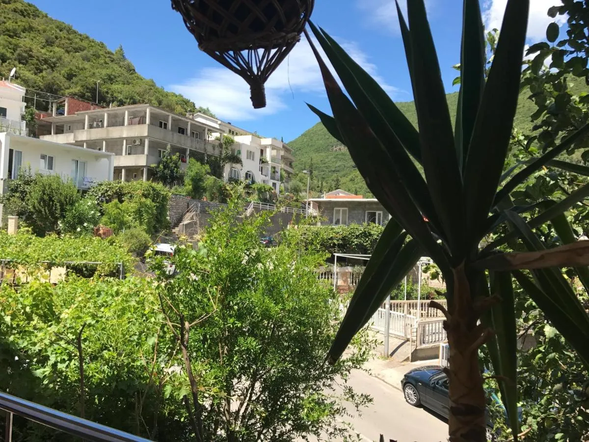 Image 5 of Apartments Zvicer – Milica