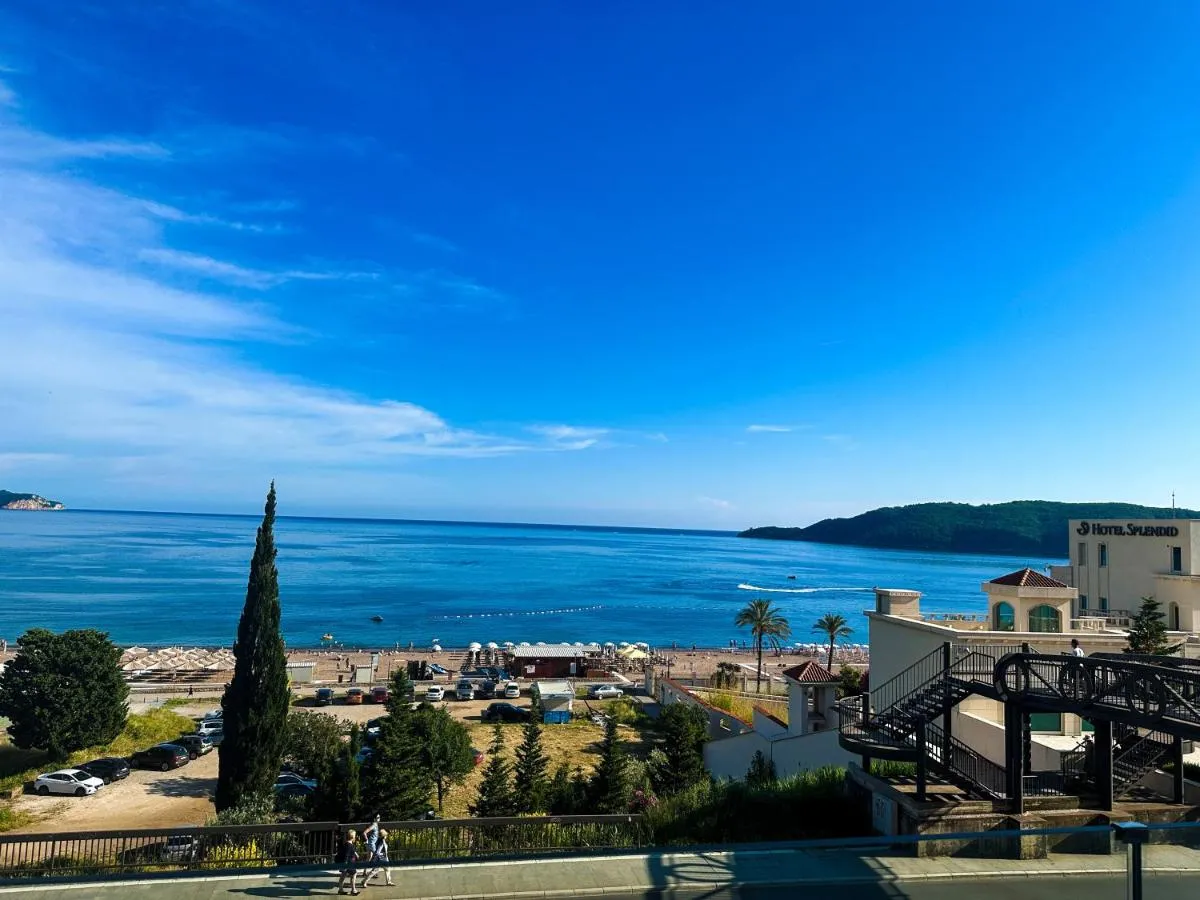 Image 5 of BigMontenegro Shine