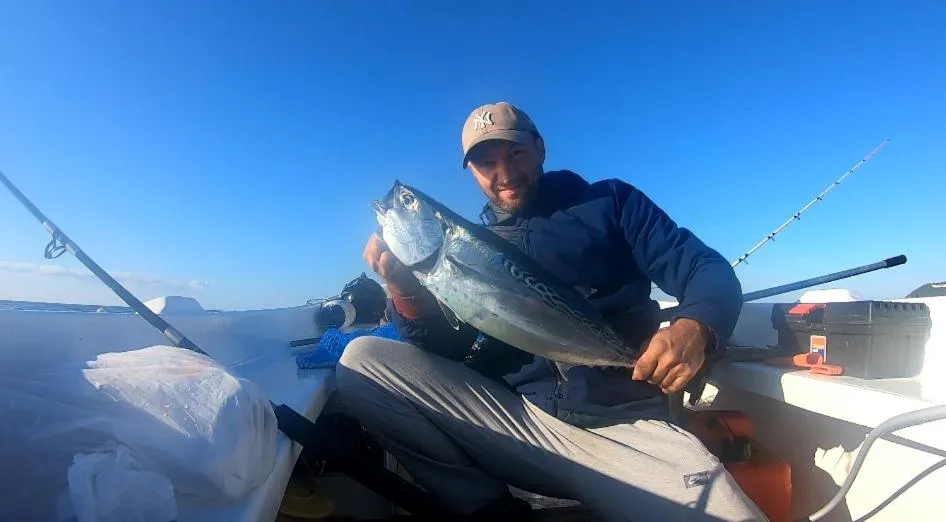 Image 2 of Davidoff Branko Kalezic