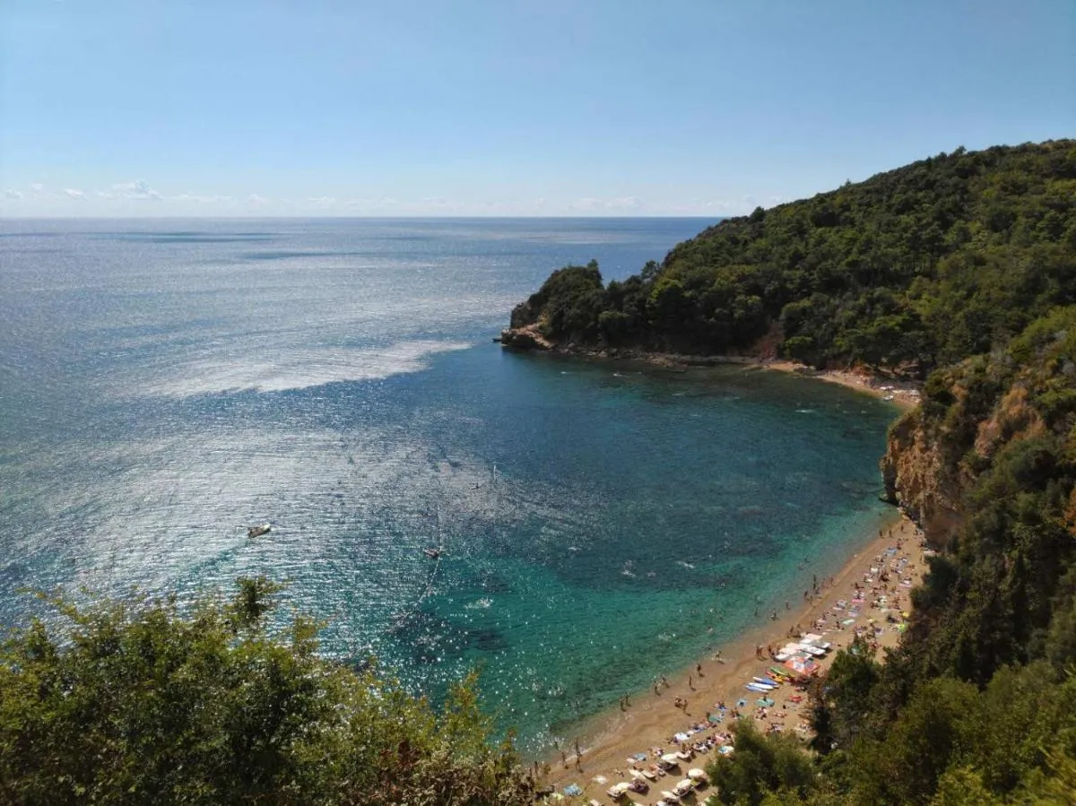 Image 5 of Portun II