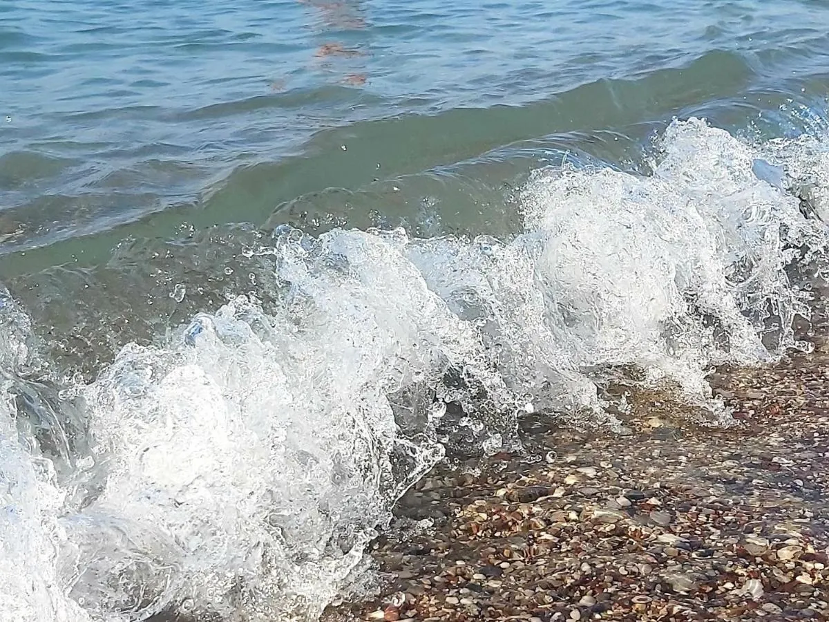 Image 2 of Sunčani apartman 1-Vila Amfora