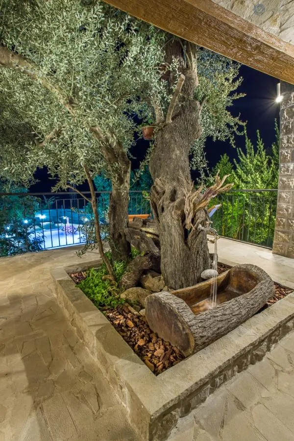 Image 3 of Villa Marco Polo