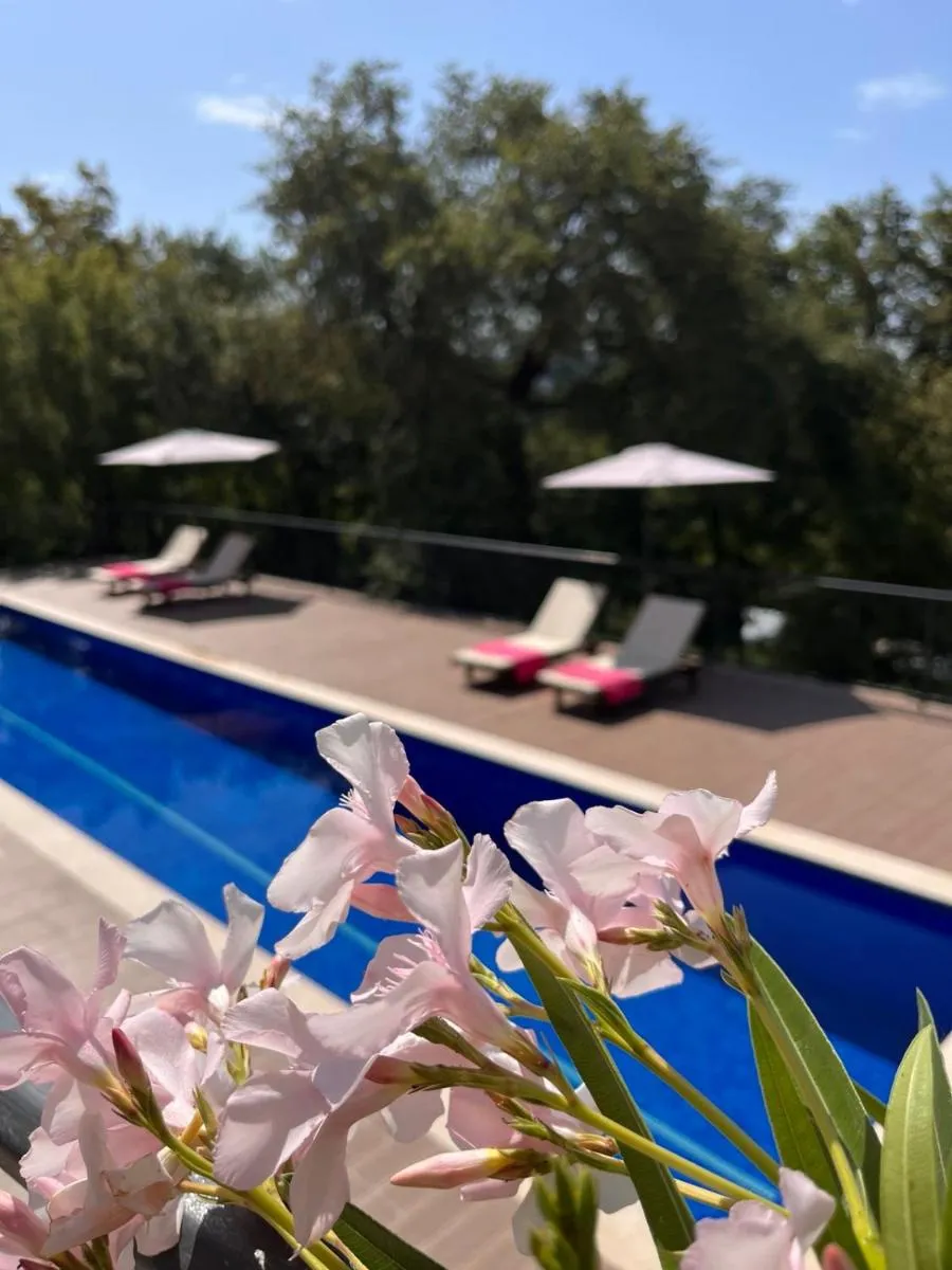 Image 3 of Villa Mattson