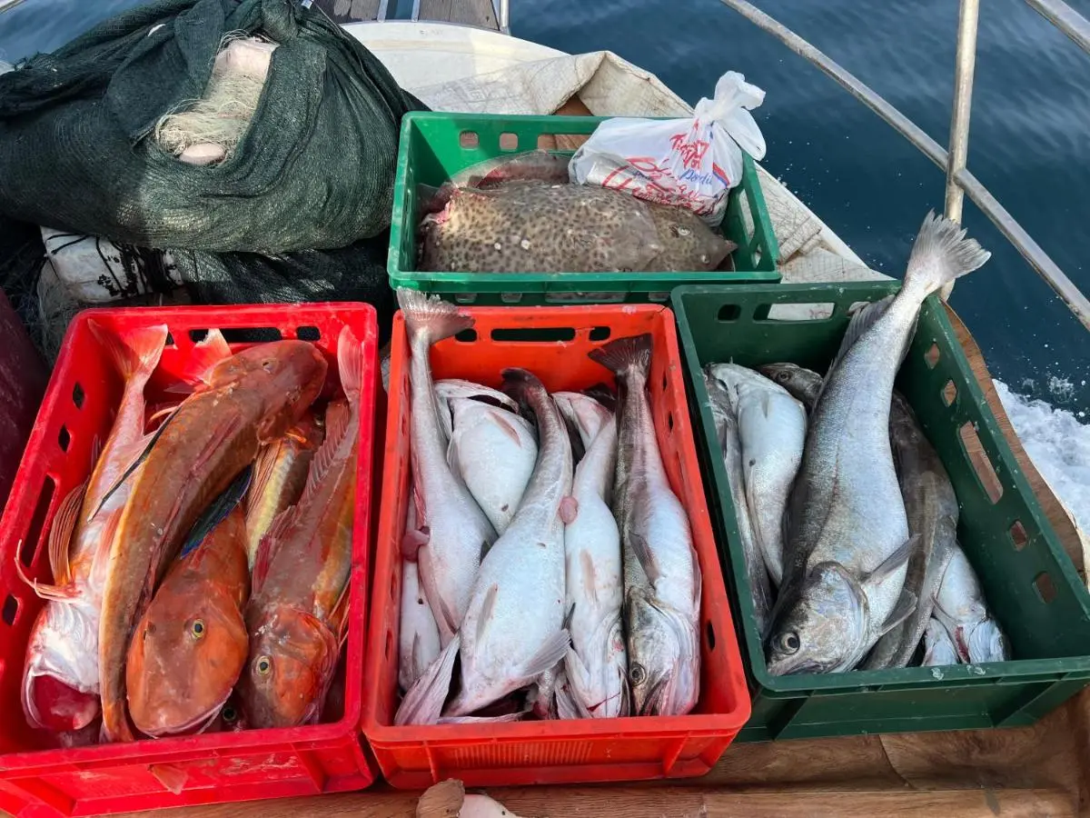 Image 3 of Guest House Plima 2