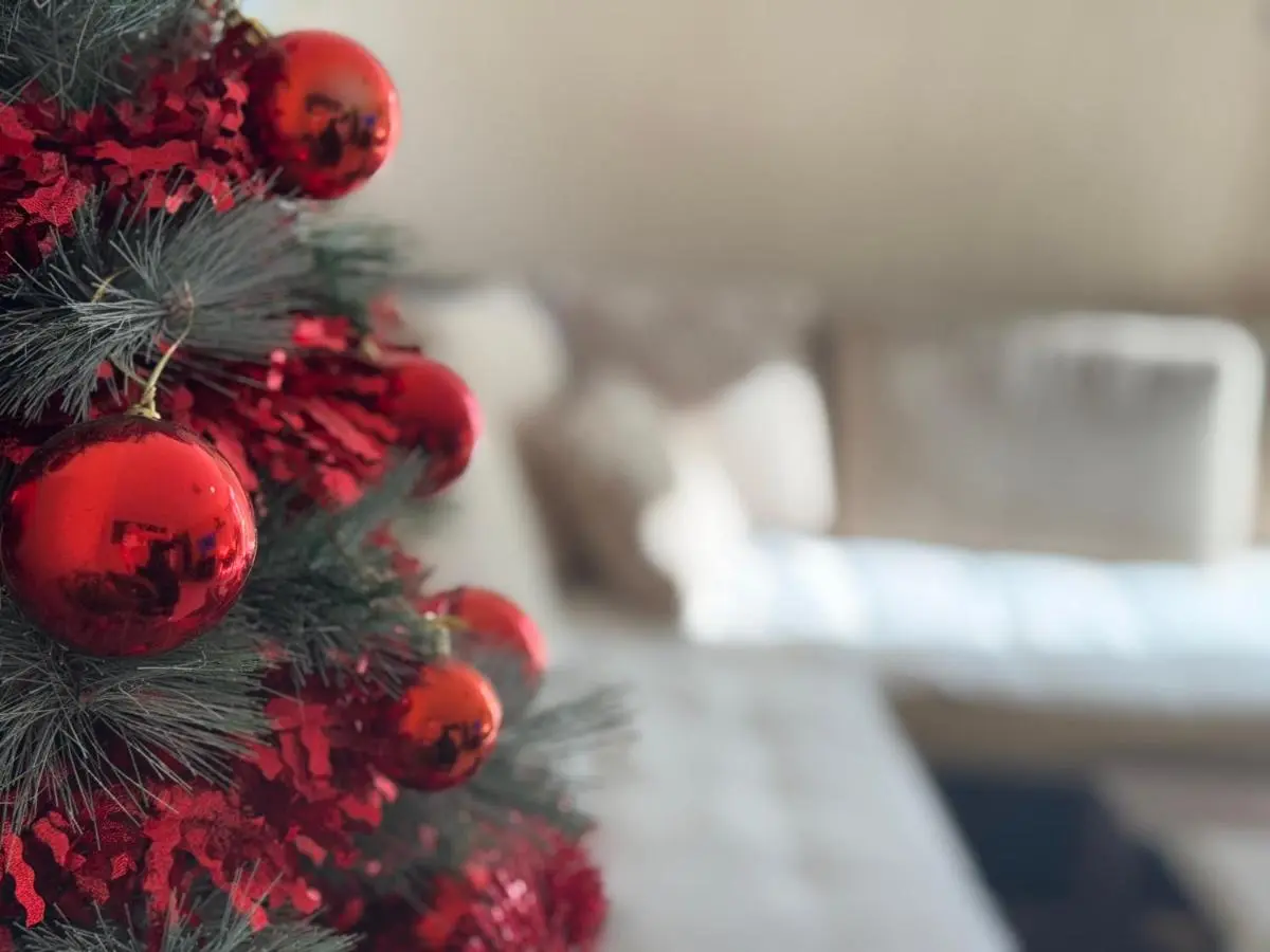 Image 1 of Studio Apartment for rent in Budva