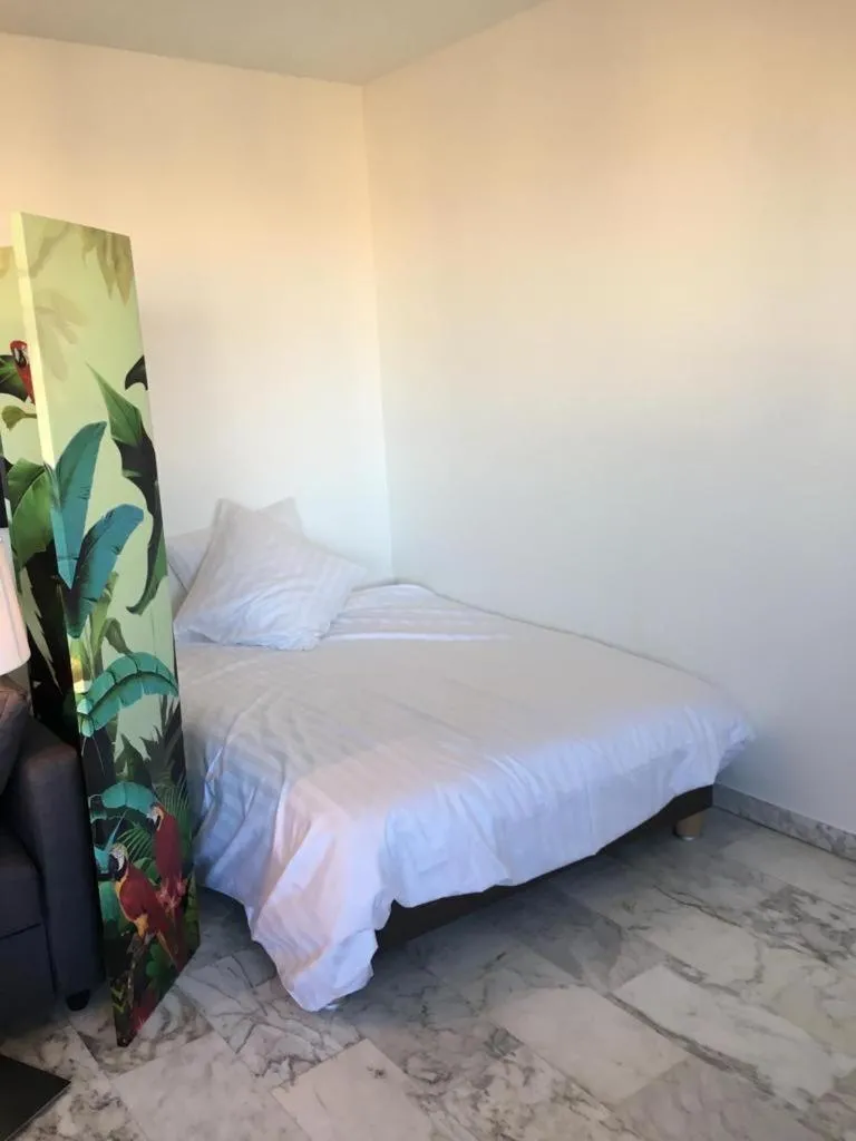 Image 1 of Cannes Président Vue Mer