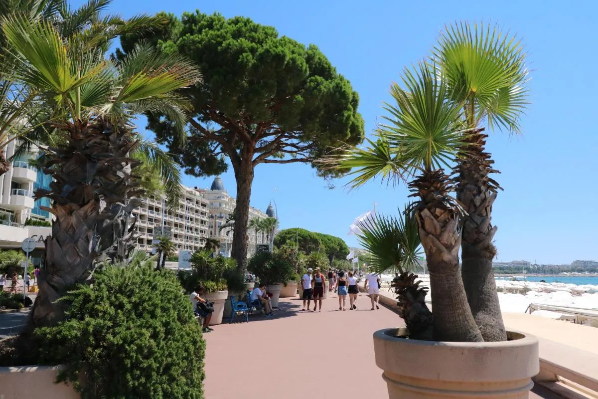 Image 4 of 2 bedroom, 2 bathrooms, 2 mins from the Croisette, Monod 348