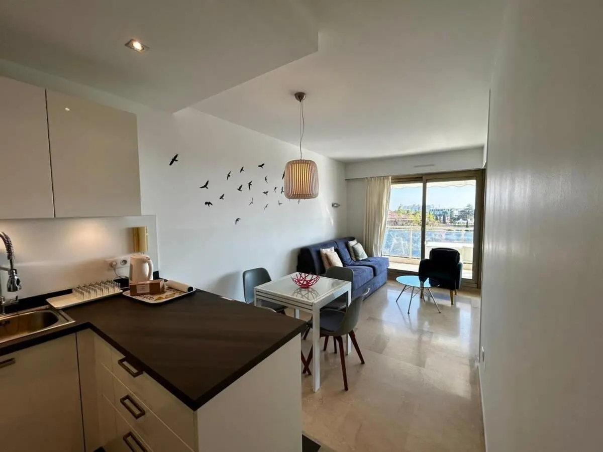 Image 4 of A018-Large studio with sea view swimming pool garage