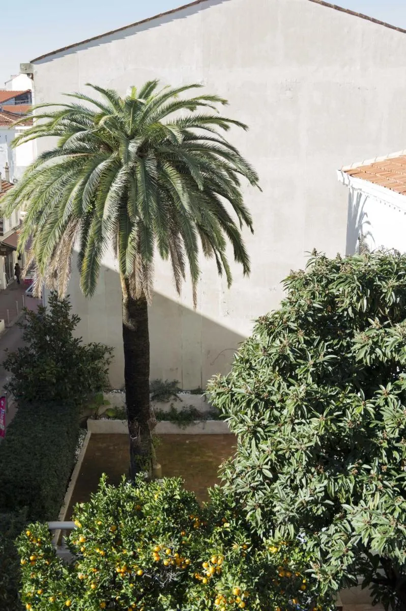 Image 6 of Appartement Cannes rue Marceau