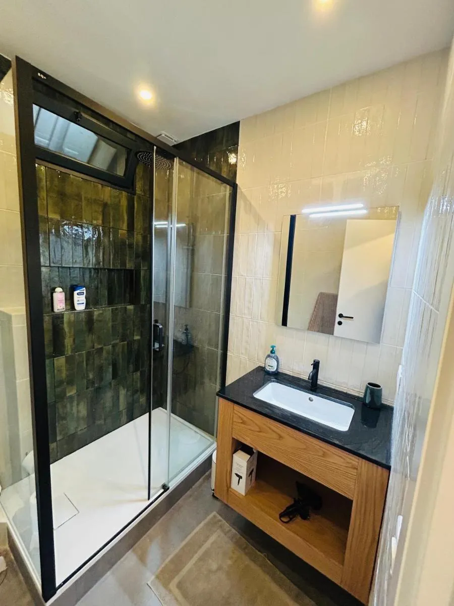 Image 4 of Appartement centre cannes croisette / palais festival