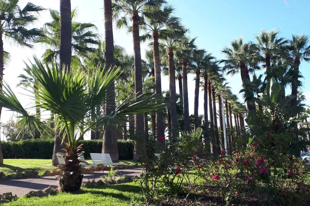 Image 6 of Bright apartment – Cannes, la Croisette