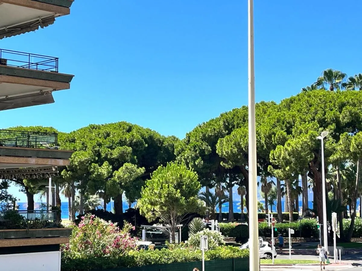 Image 4 of Cannes Palm Beach