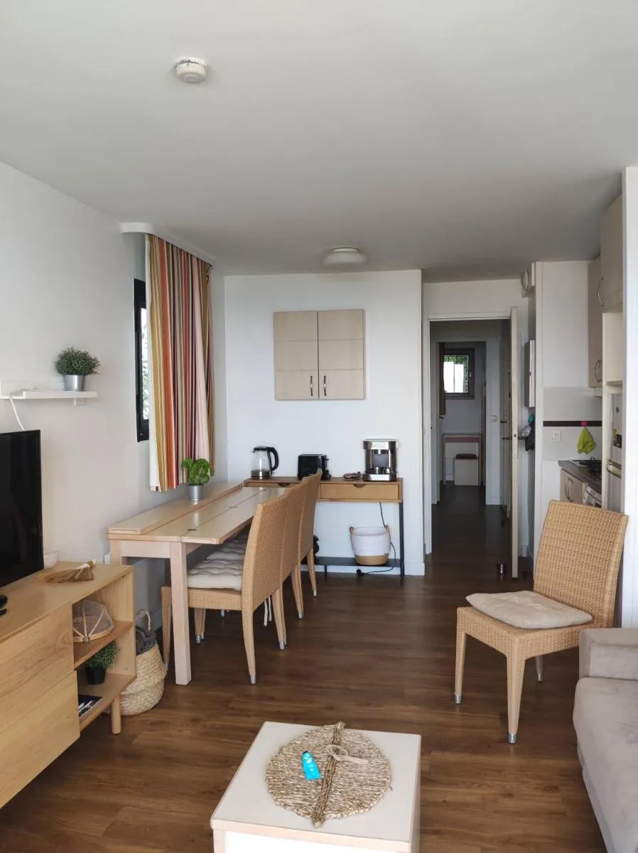 Image 6 of Cannes Villa Francia appartement climatisé vue mer