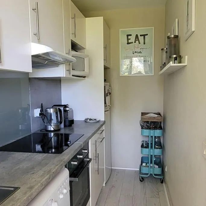 Image 6 of Cannes centre beau 2 pièces 50 M2 plus terrasse à 12 min plages et Palais au calme